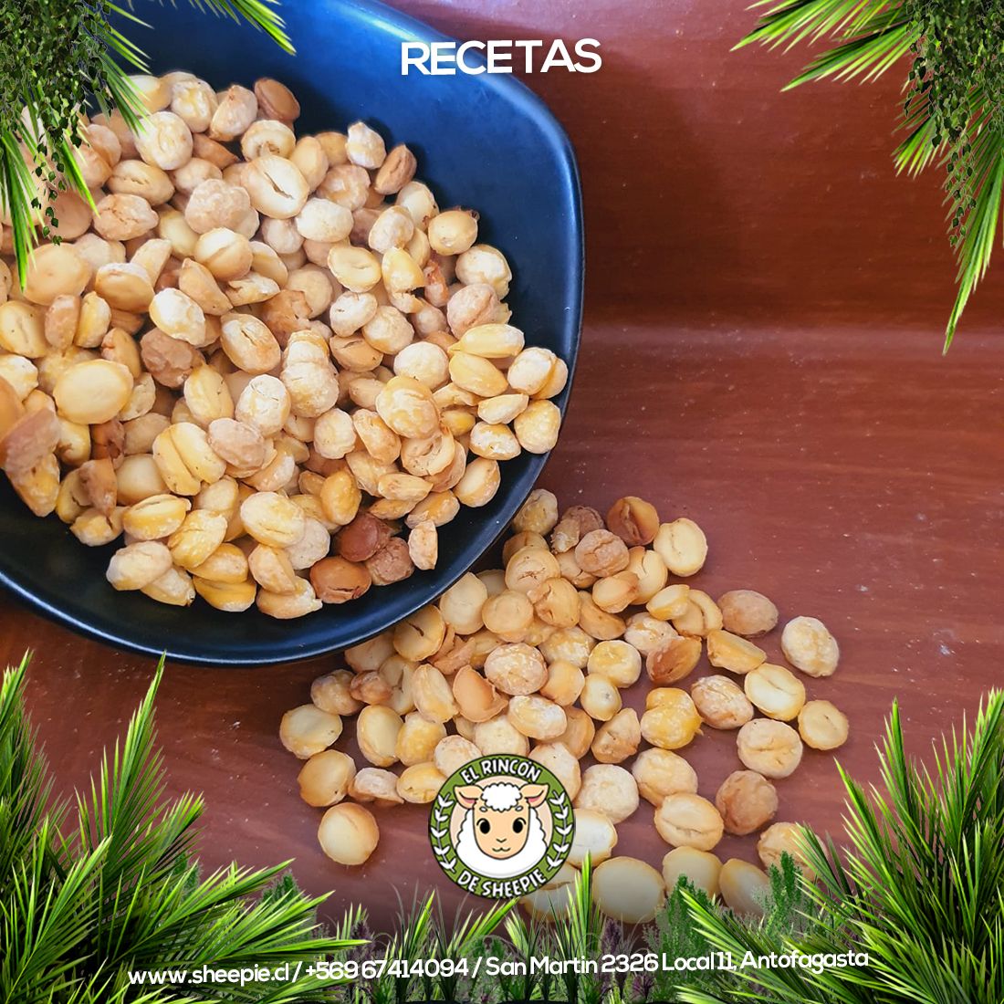 Chips de Garbanzo